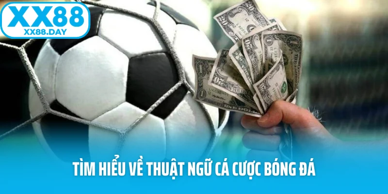 Tìm hiểu về thuật ngữ cá cược bóng đá Tìm hiểu về thuật ngữ cá cược bóng đá