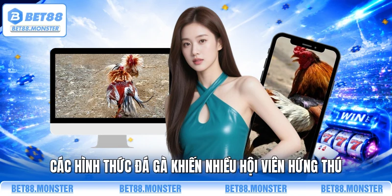 Các hình thức đá gà khiến nhiều hội viên hứng thú 