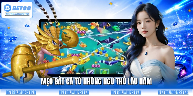 Mẹo bắt cá từ những ngư thủ lâu năm